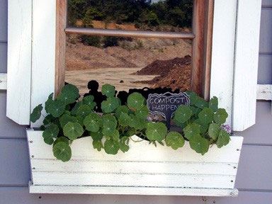 Composting Window and Plant