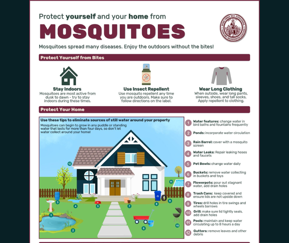 Image of a house and mosquitoes