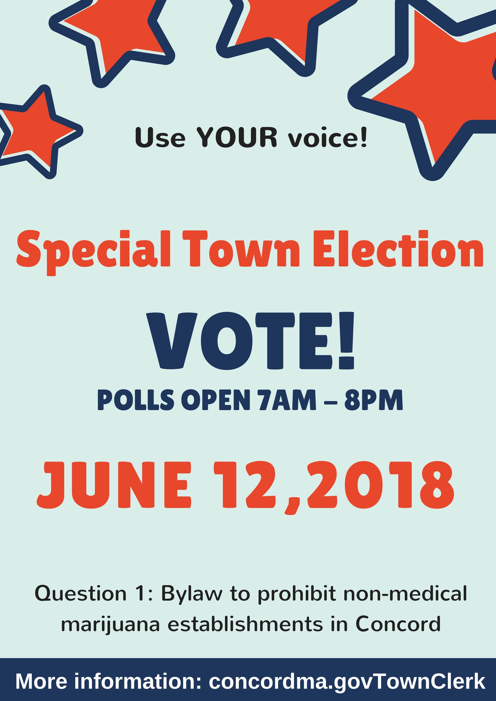 Special Election Vote, June 12 2018