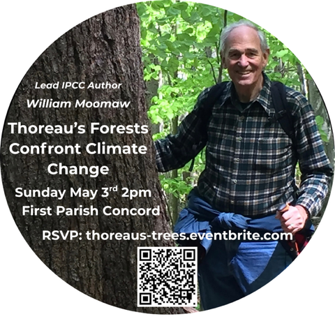 Thoreau Forests Confront Climate Change